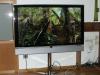 Loewe Individual 46 Selection LED 200 117cm LED-TV