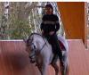 Reitbeteiligung und/ oder Reitstunden