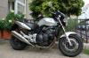 HONDA CBF600  EZ 05.2005  1HAND