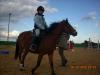Suche Reitbeteiligung/ Pflegepferd in 89233 Neu-Ulm/ Pfuhl & Umgebung