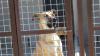 Mali hat eine Chance verdient!