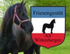 Friesengestüt Alt Wittenbergen