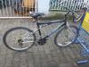 (234) 21 Gang 26 Zoll Rh 50 Sattel gefedert