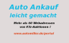 Kfz-Auktionen für Händler