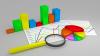 Programmierer in SPSS und R