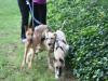 Pfiffige Labimixe,  2 Jungs und 2 Mädels