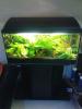 118L Becken+Unterschrank+Besatz