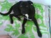 Suche ein neues Zuhause