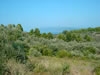 Grundstück mit Meeresblick auf dem Pilion /  Griechenland