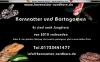 Nachzuchten von Kornnatter und Bartagamen 2010