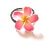 Hawaii Blumen Haargummi
