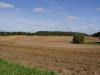 Agrarimmobilien_ Ackerland