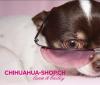 Winterfeeling im Chihuahua-Shop.ch luna & bailey