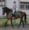 suche RB Werder Havel /  Phöben 