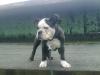 mein topmodel thyson muss leider weg :-((