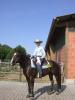 Top Allrounder Ready To Show,  6-jähriger Paint Horse Hengst