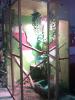 hammer terrarium zubehör tiere