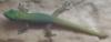phelsuma laticauda laticauda