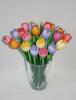 Tulpen,  Clogs und Souvenirs 