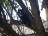 Liebes Katerchen sucht liebevolles Zuhause
