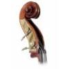 Kontrabassist sucht Gigs /  Aushilfs- und Studiojobs