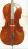Meistercello zu verkaufen von U. Mächler,  Speyer 2006