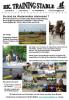 Westernreiten