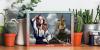 ADELE Phantasie am Meer. Star,  Souvenir. Super Deko. Wandbild. Neuheit. Geschenk
