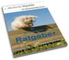 Durchfall beim Hund?