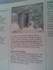 Handbuch Opel Astra,  Bedienungsanleitung,  Sicherheit,  Wartung,  Stand Januar 1998