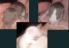 suche neues zuhause