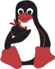 Service Mac OSX Linux Xbox 360 Wii PS3 PSP iPhone Jailbreak Umbau Flash CFW HBC