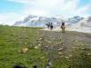 Vagamundo: Wanderreiten und Erlebnisreisen in Patagonien