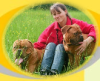 Hundepension,  -tagesstätte   Verhaltenstherapie