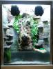 Paludarium / Aquaterrarium - auch als Aquarium nutzbar