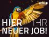 STAPLERFAHRER (M/  W/  D) VOLLZEIT