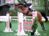 Braver Holsteiner Wallach  Contender x Lord