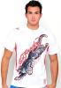 16 € nur für Polo,  Ed Hardy , CA, POLO,  T-Shirts AF