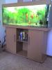 Juwel Aquarium zu verkaufen