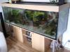 2 m aquarium zu verkaufen