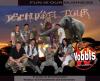 Trompeter/ in von bekannter Partyband gesucht