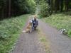 wohlerzogener Familienhund (Golden Retriever) und ruhiger,  kinderlieber Jack Rus