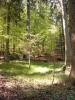 Waldgrundstück,  Wald,  Mischwald nähe Waldkirchen zum Kauf / Tausch
