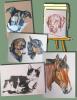 Tierportraits nach Foto