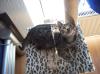 Kater Jameson geboren am 6.03.2011