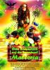 Promoter auf Mallorca /  Party-Events - Sommerjob-