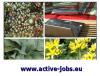 Ortsunabhängiges Stellenangebot,  Teamarbeit online von zu Hause aus