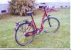 Gelegenheit...Fahrrad  Neu 