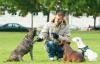 Gassiservice/  Hundeausführservice- DogTraining4Life