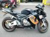 HONDA CBR 600RR